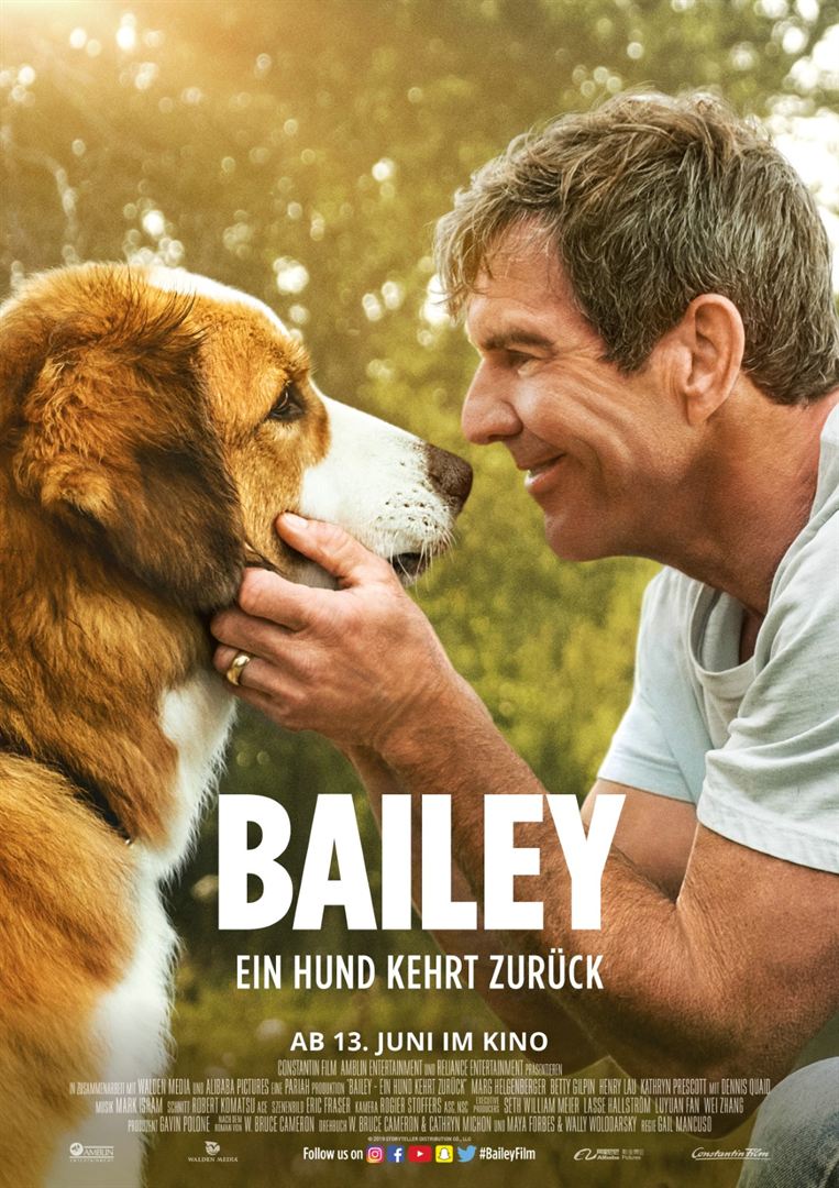 Bailey Ein Hund kehrt zurück Film anschauen Online